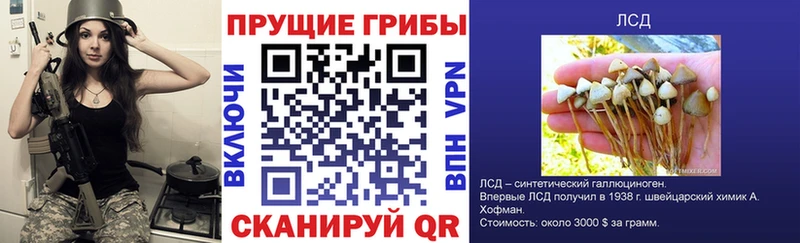 Псилоцибиновые грибы мухоморы  блэк спрут зеркало  Талица 